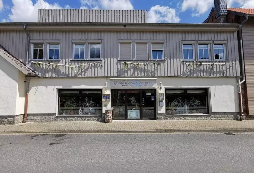 Hotelli Altstadt Pension Orchidee