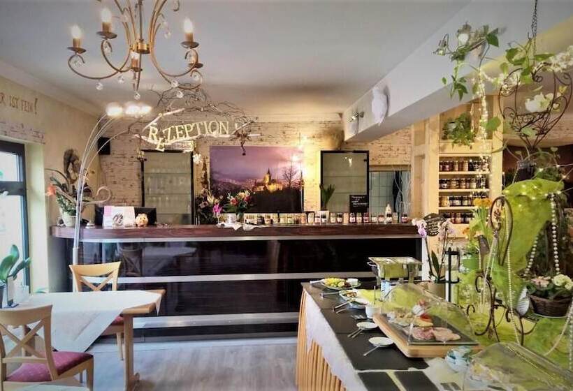 فندق Altstadt Pension Orchidee