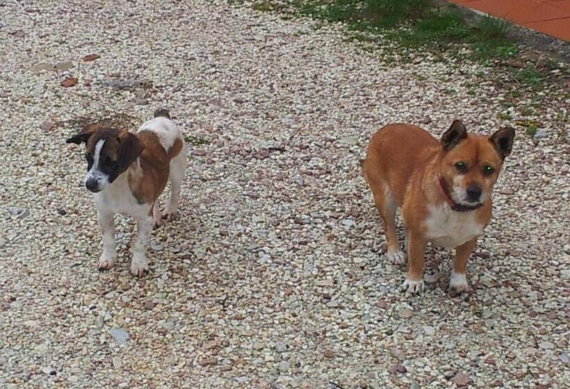 בית מלון כפרי Fonte Chiara