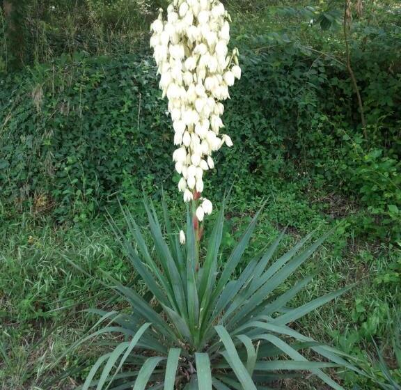 בית מלון כפרי Fonte Chiara