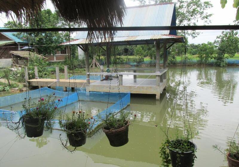 Отель Mountain View Guest House