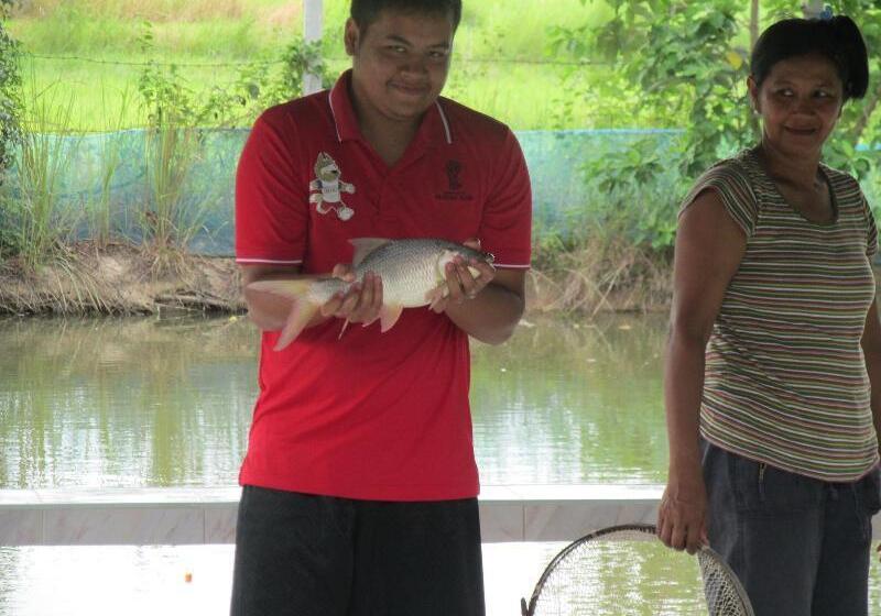 Отель Mountain View Guest House