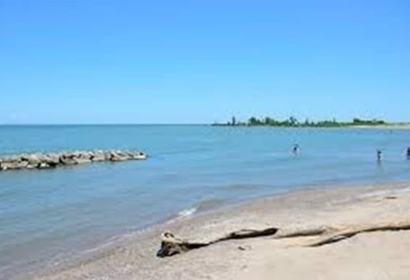 호텔 The Birdhouse Bed & Breakfast