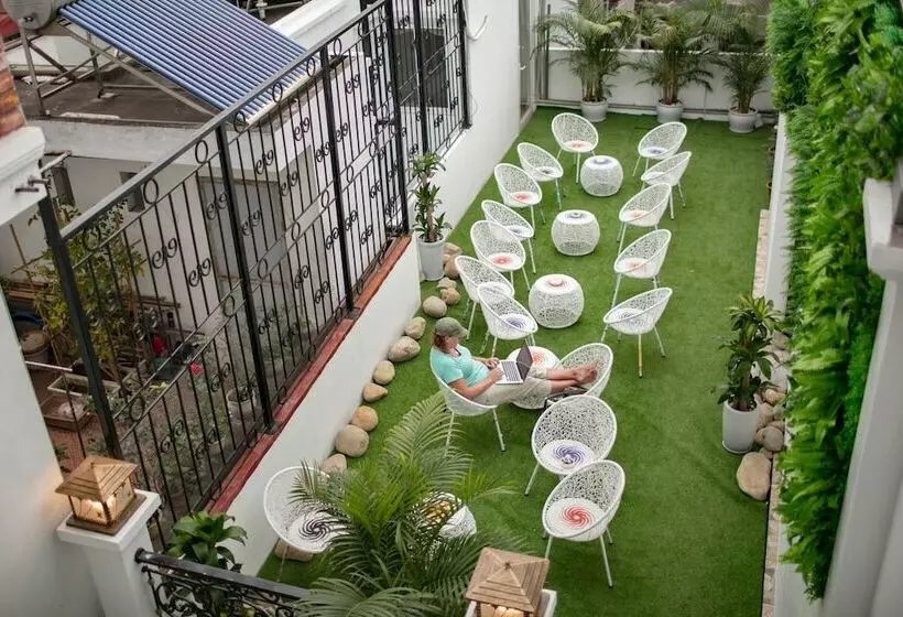 هتل Viola Royal  & Spa