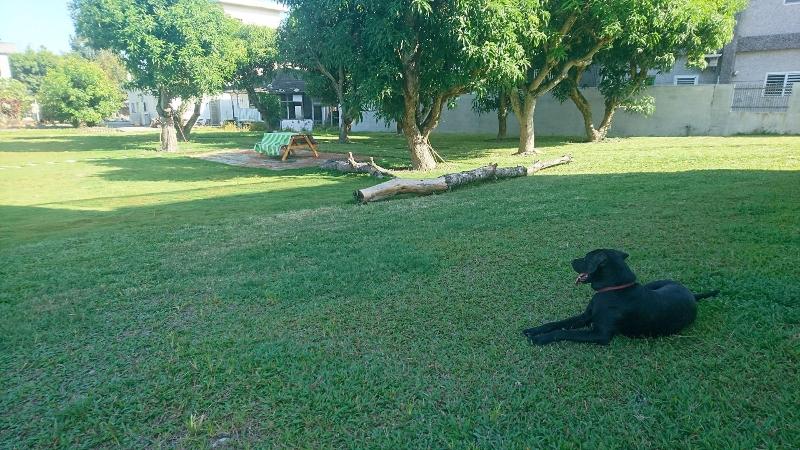 هتل White Pine Village