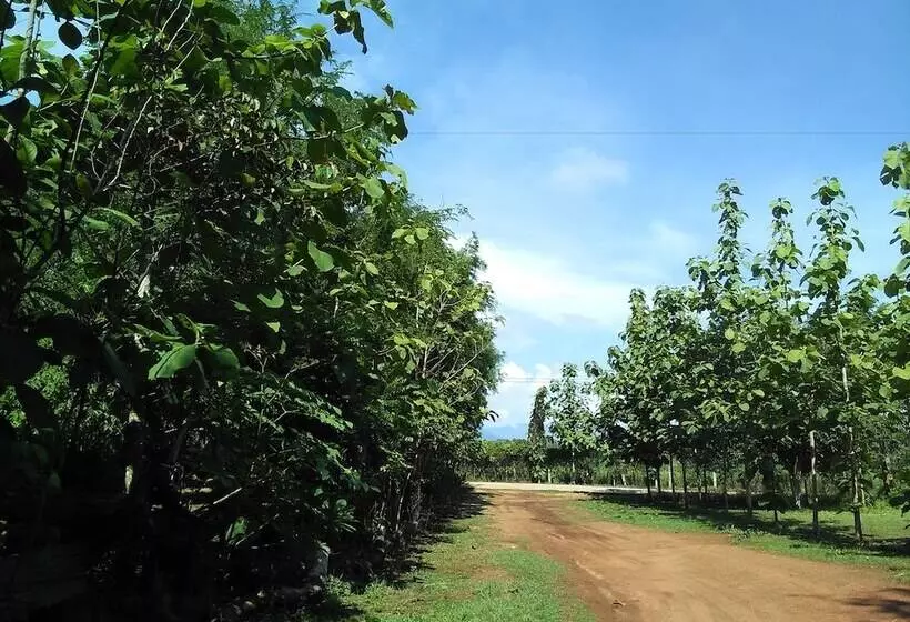 هتل Loei Airport Homestay