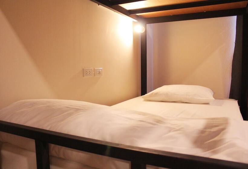 فندق Mad Panda Hostel
