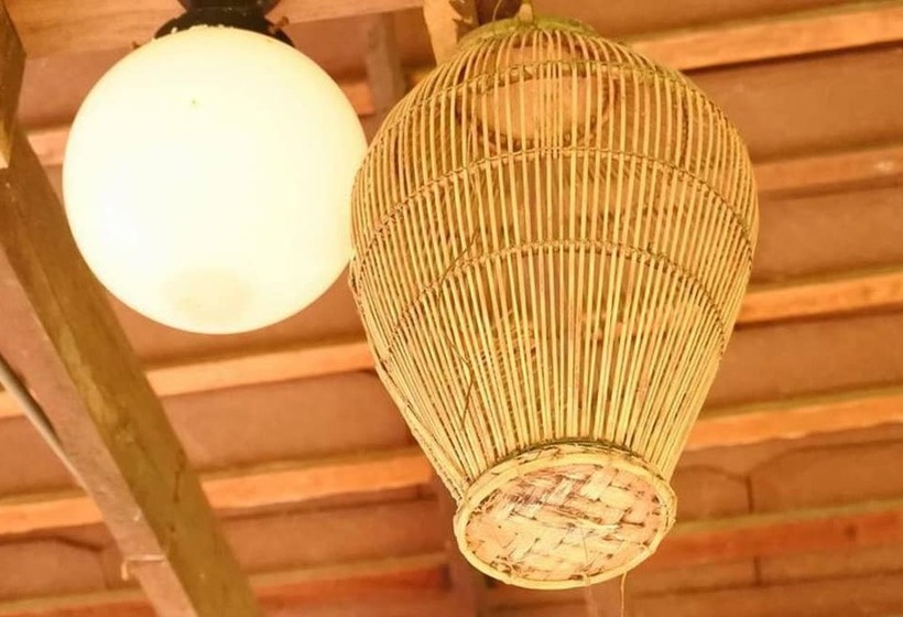 בית מלון כפרי Olive Resort Pattaya