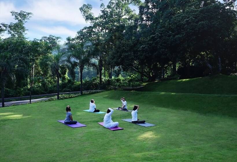 Отель Phutarntree