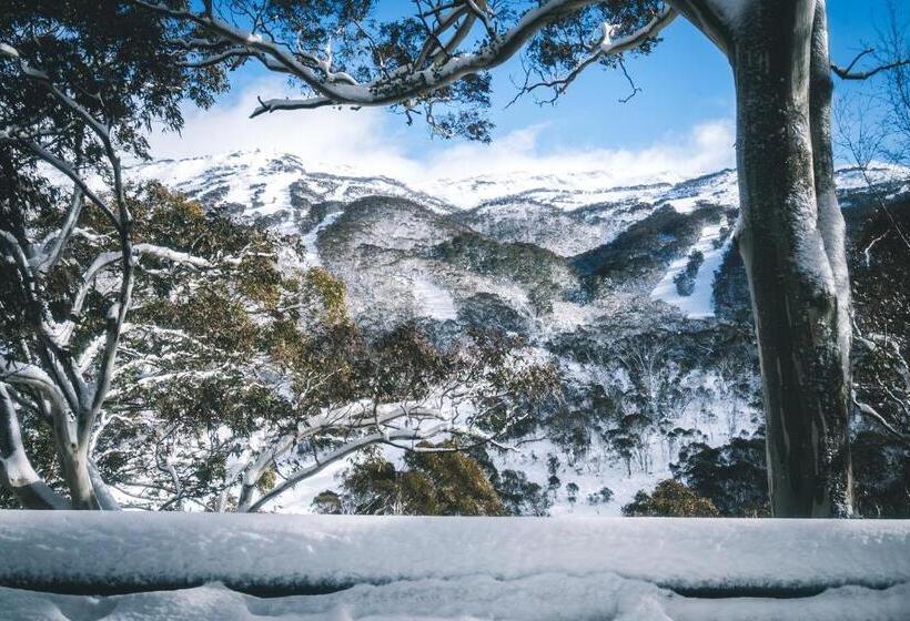 فندق Pure Chalet Thredbo