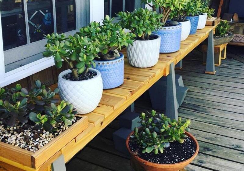 בית מלון כפרי The Hampton Maid