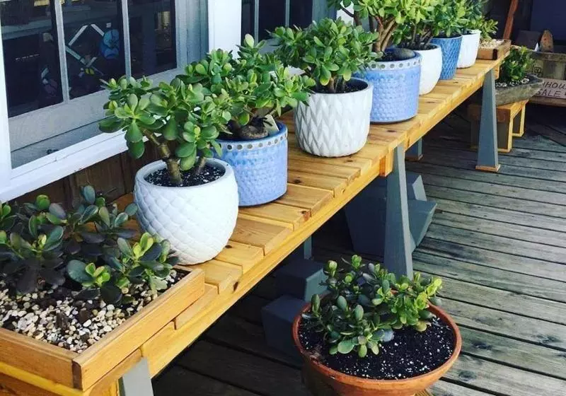 Hotelli The Hampton Maid