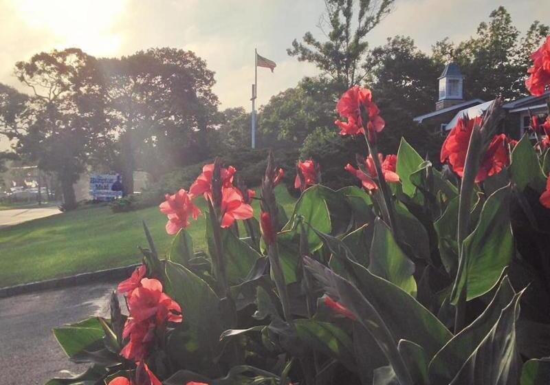 בית מלון כפרי The Hampton Maid