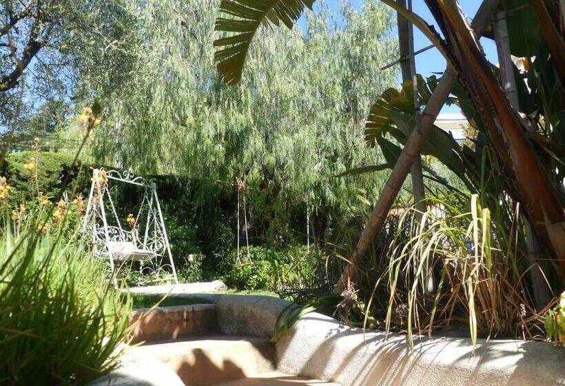 בית מלון כפרי Blue Dream Cannes Guest House