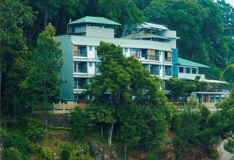 בית מלון כפרי Forest Glade