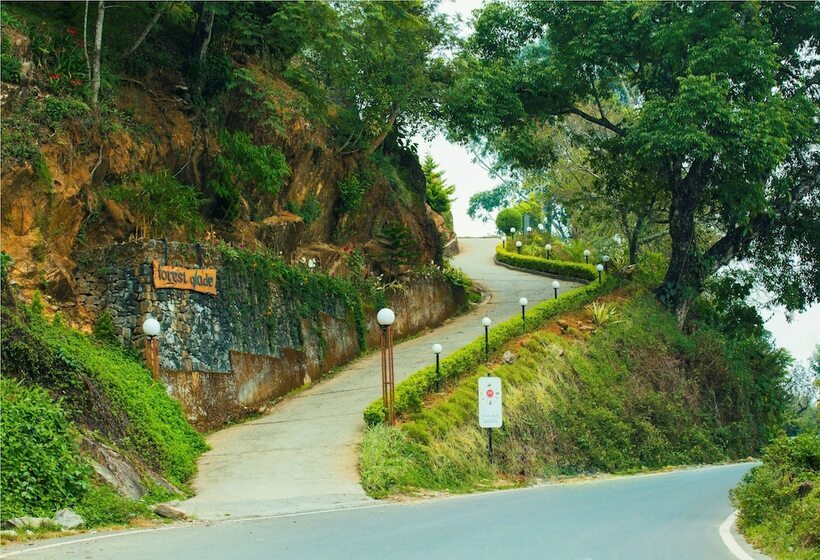 בית מלון כפרי Forest Glade