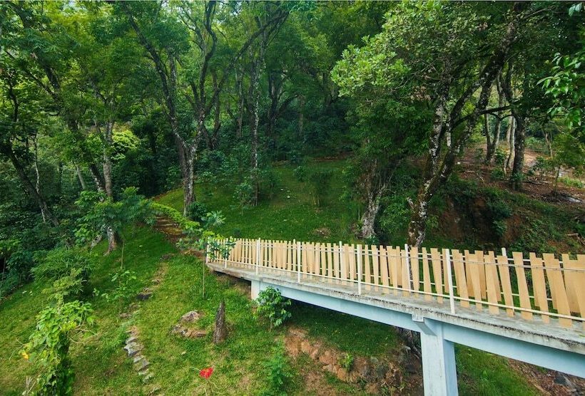 בית מלון כפרי Forest Glade