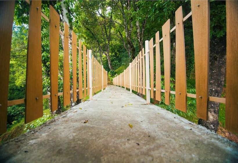 בית מלון כפרי Forest Glade