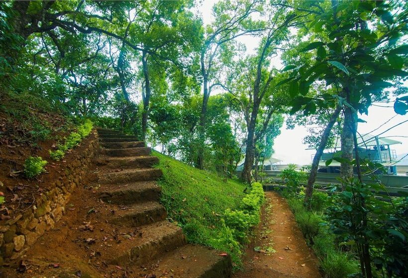 בית מלון כפרי Forest Glade