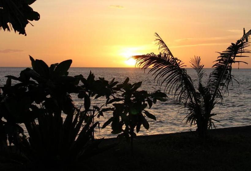 هتل Medano Island Resort