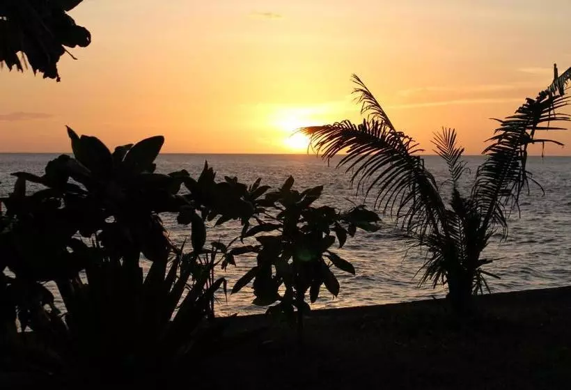 ホテル Medano Island Resort