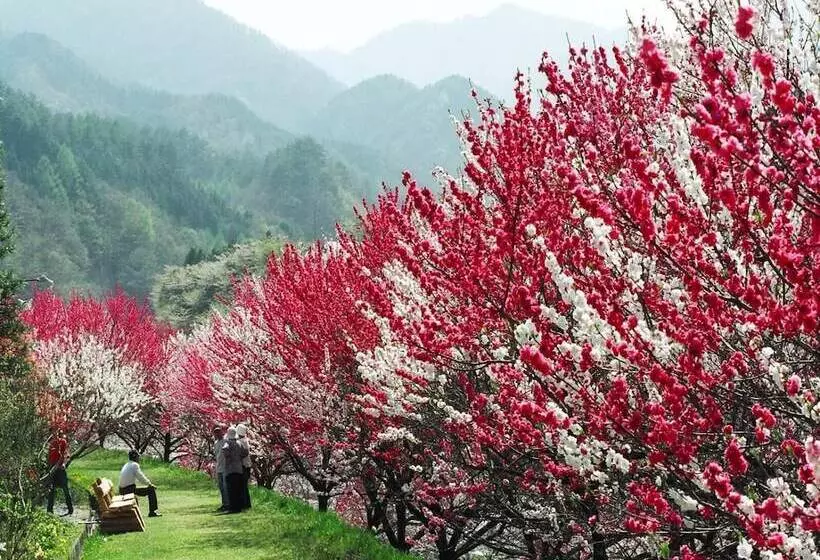 Hotelli Otogitei Kofu