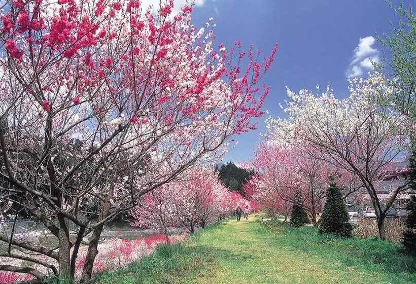 Hotelli Otogitei Kofu