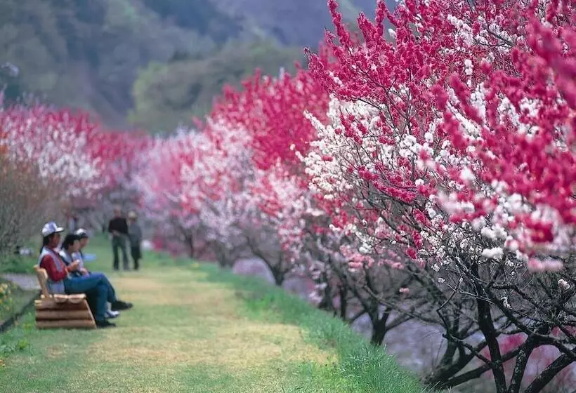 Hotelli Otogitei Kofu