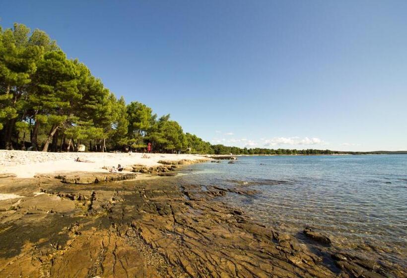 호텔 Apartments Sosic