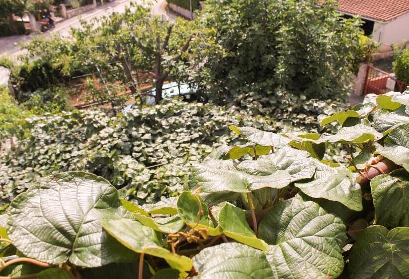 호텔 Apartments Sosic