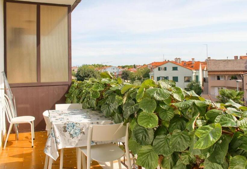 호텔 Apartments Sosic