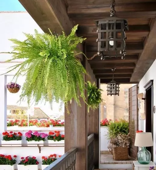 هتل Suites La Posada De Pilar