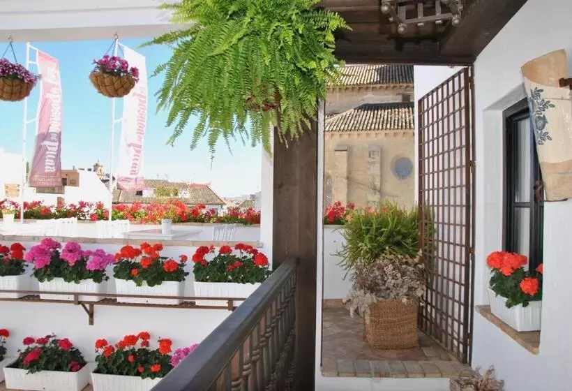 هتل Suites La Posada De Pilar