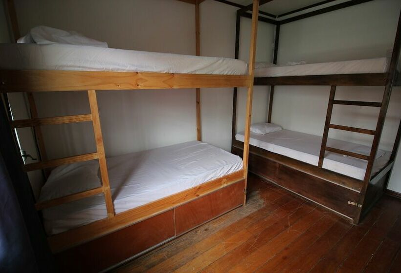 酒店 ¡upe! Hostel