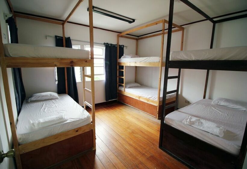 酒店 ¡upe! Hostel