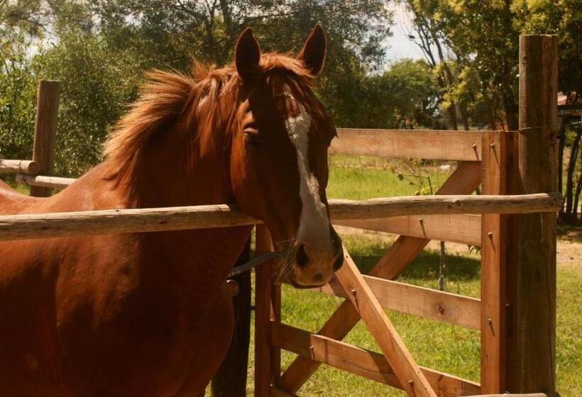 ホテル Vistal Río