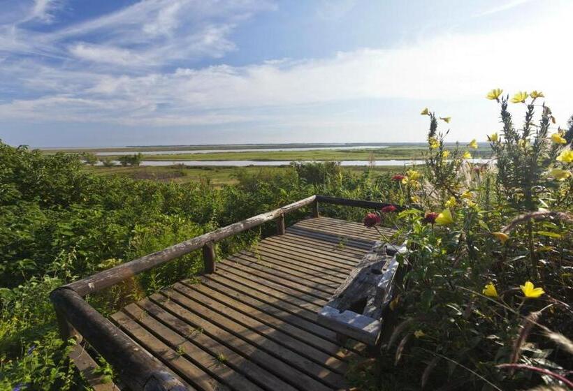 ホテル Vistal Río