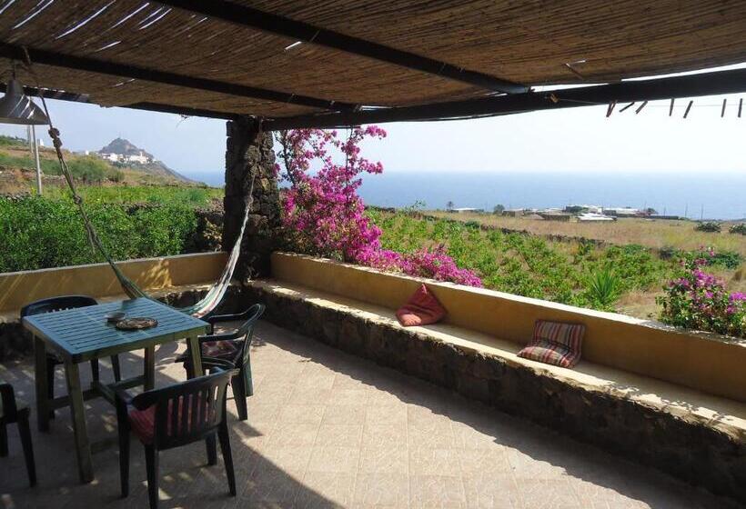 호텔 Agriturismo Zibibbodoro