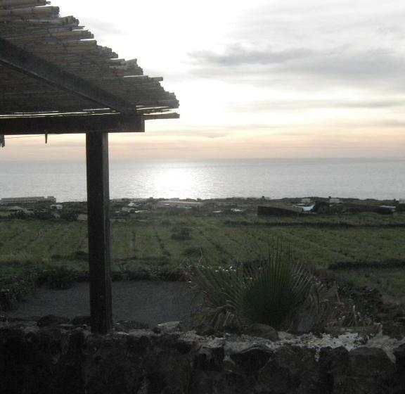 호텔 Agriturismo Zibibbodoro