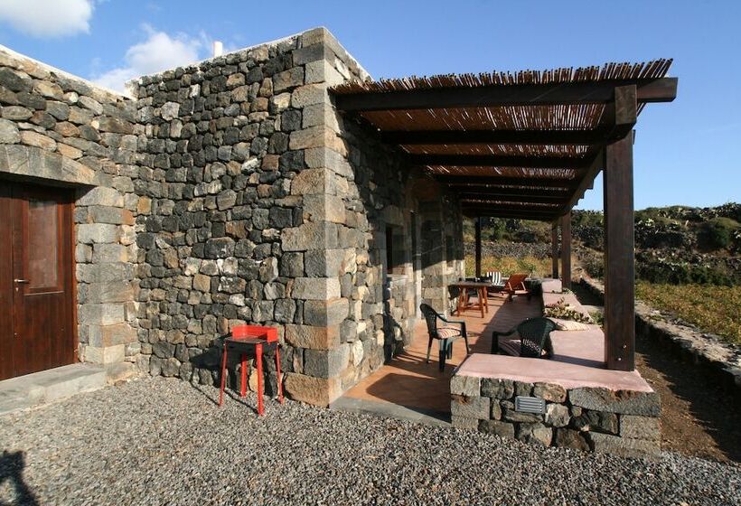 호텔 Agriturismo Zibibbodoro