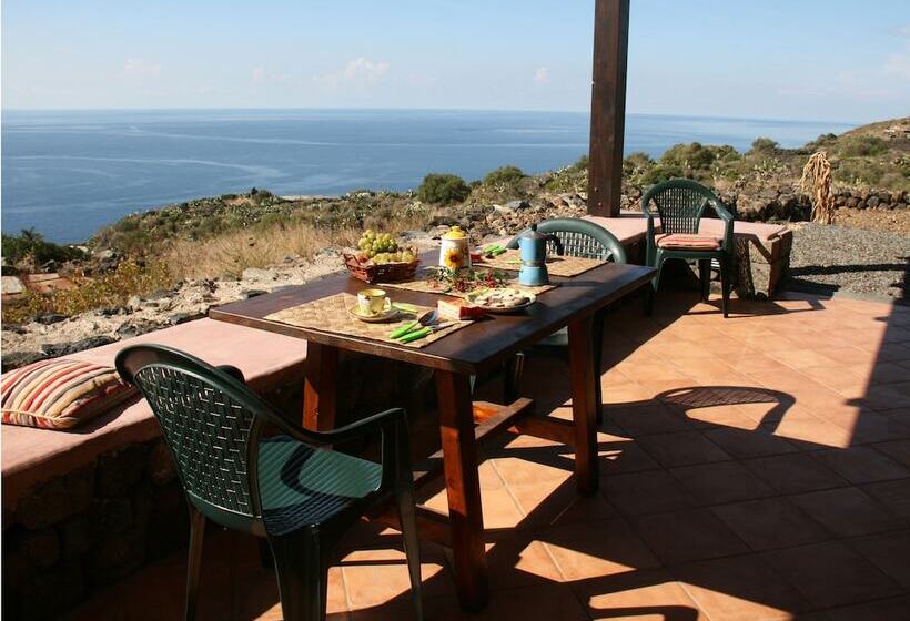 호텔 Agriturismo Zibibbodoro