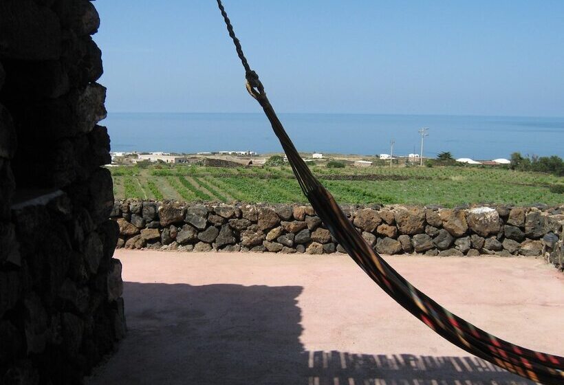 호텔 Agriturismo Zibibbodoro