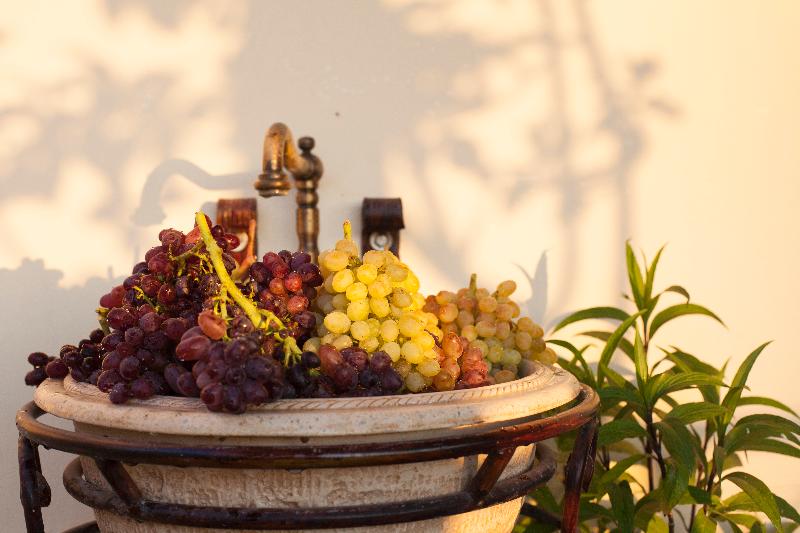 בית מלון כפרי Arch Villa