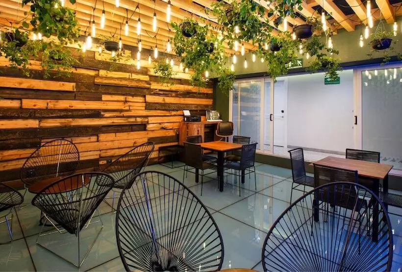 Hotelli Mx Más Reforma