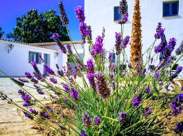 فندق Ronda Moments