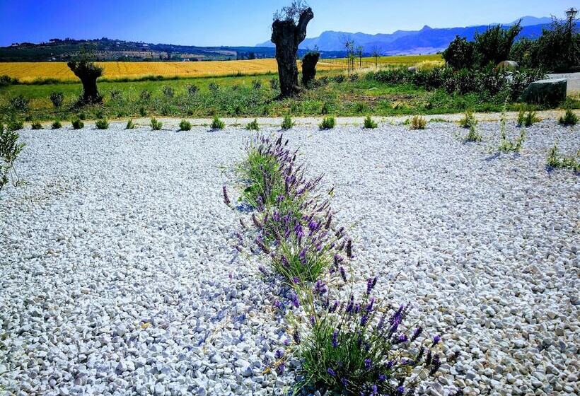 فندق Ronda Moments