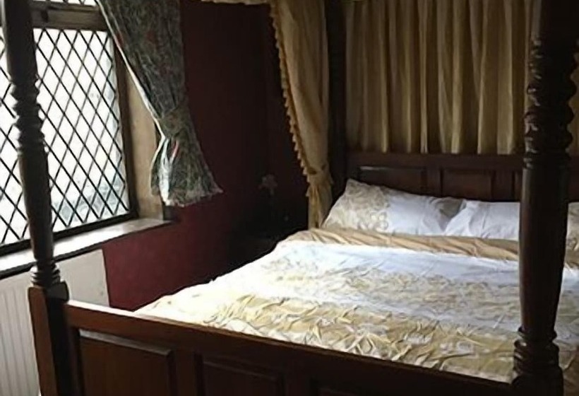 Отель The Black Swan