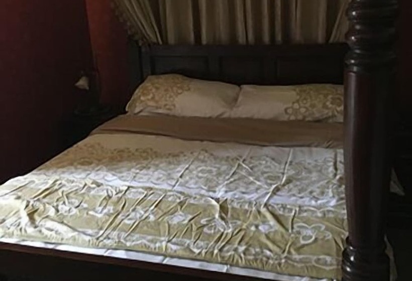 Отель The Black Swan