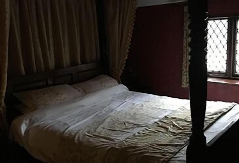 Отель The Black Swan