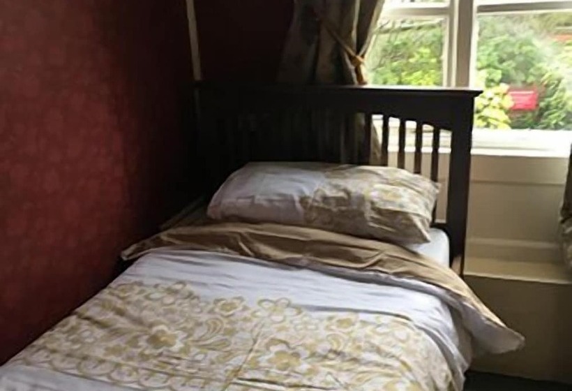 Отель The Black Swan